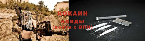 стаф Михайловск
